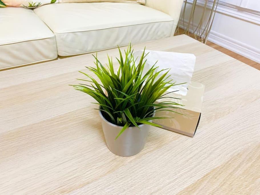 Elegant Rooms In Shared Townhouse Next To Beach 휘트비 외부 사진
