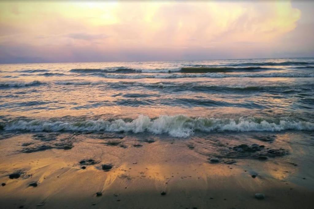 Elegant Rooms In Shared Townhouse Next To Beach 휘트비 외부 사진